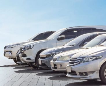 article_32497236_gallery_1777446301785